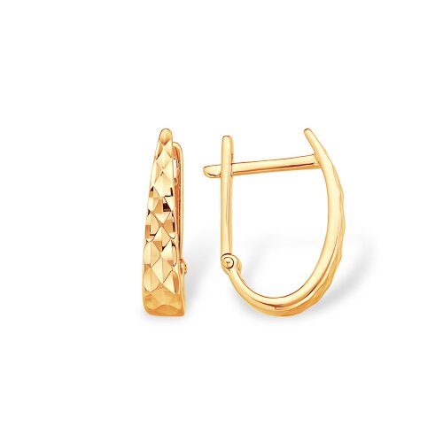 С11013700 С11013700