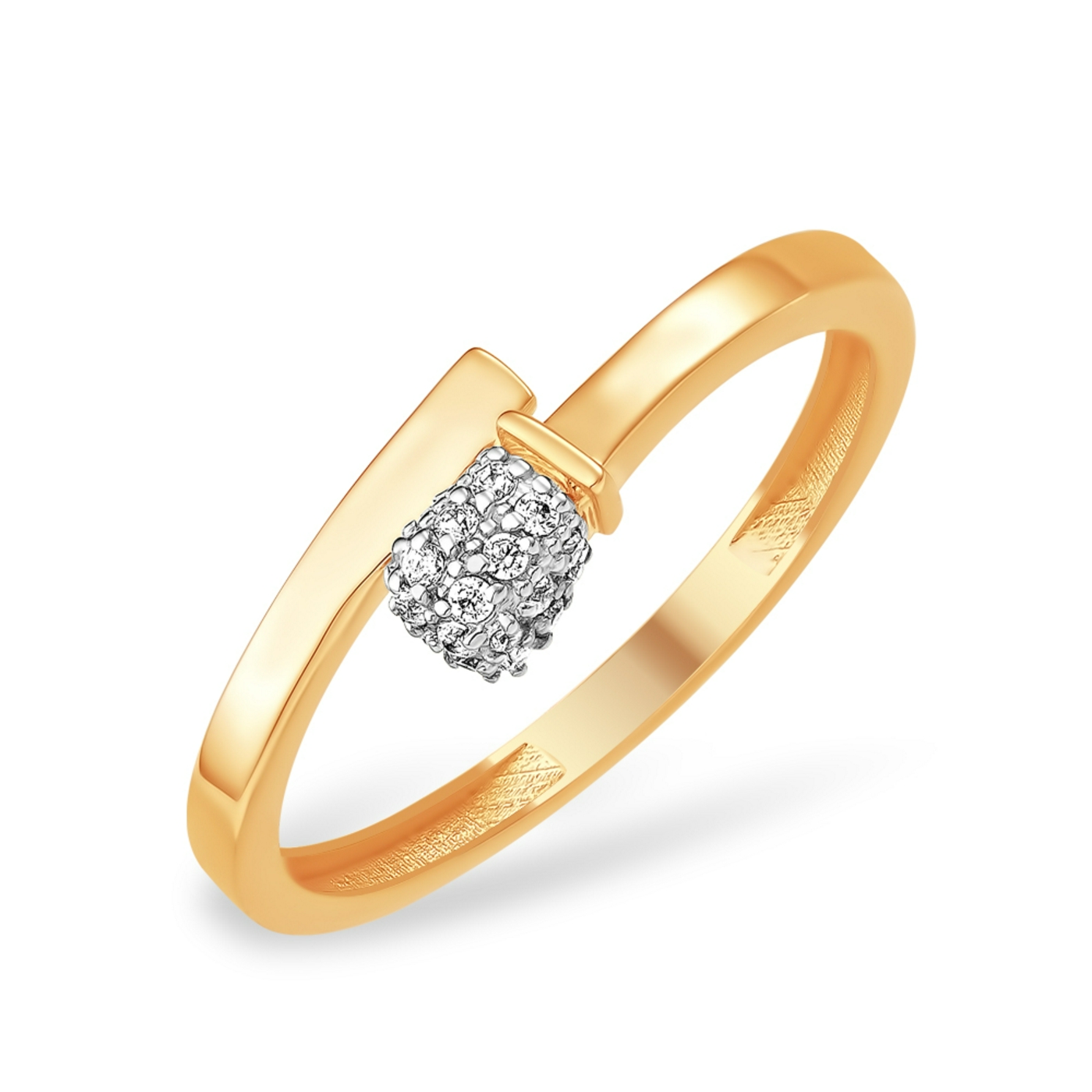 К13219732 К13219732